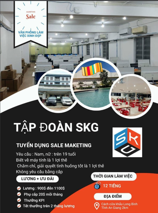 lĩnh vực hoạt động