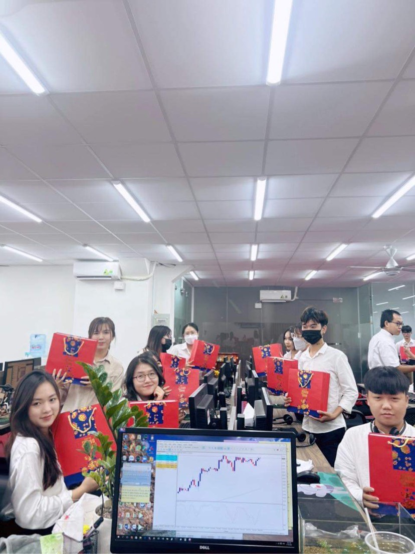 lĩnh vực hoạt động