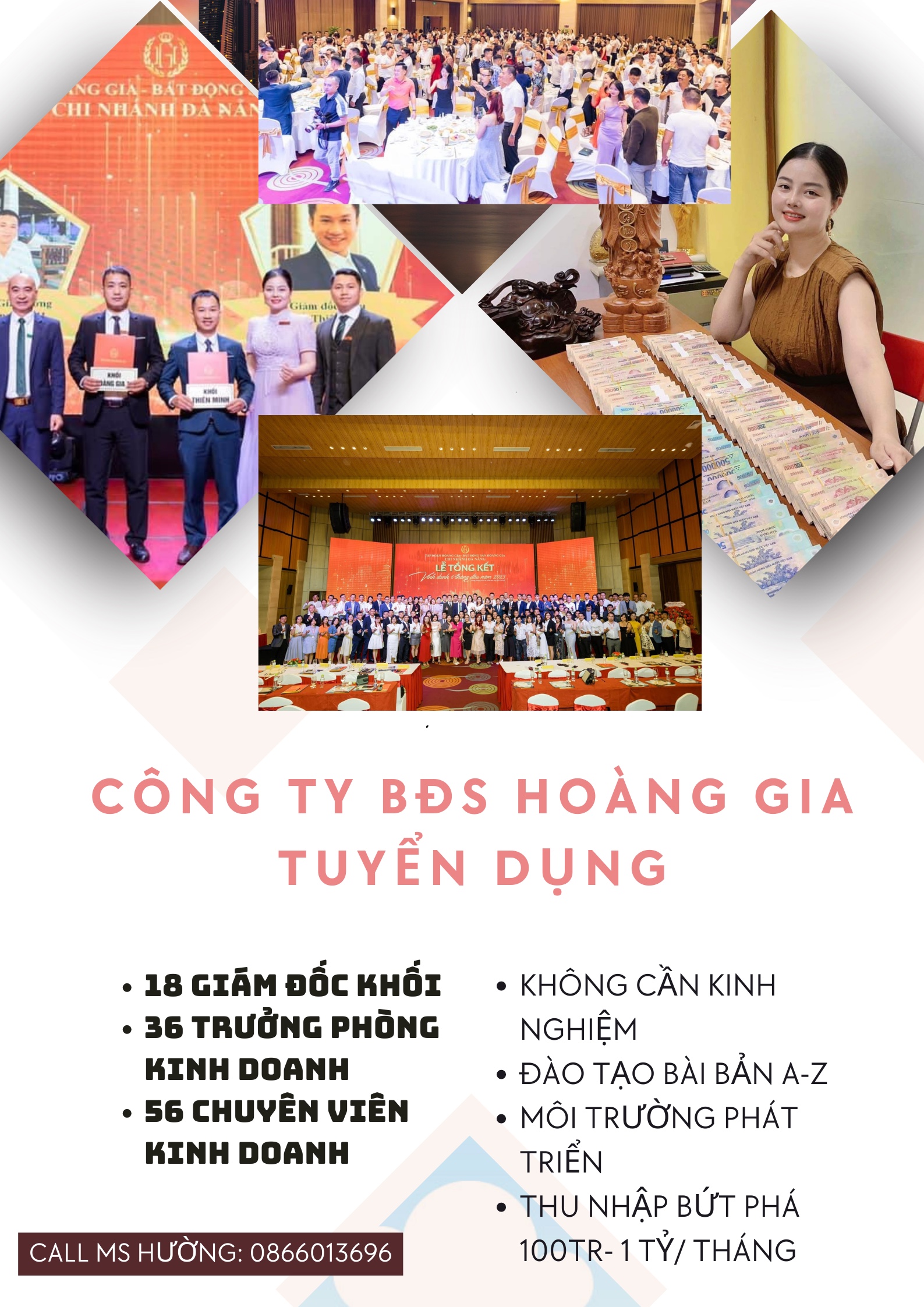 lĩnh vực hoạt động