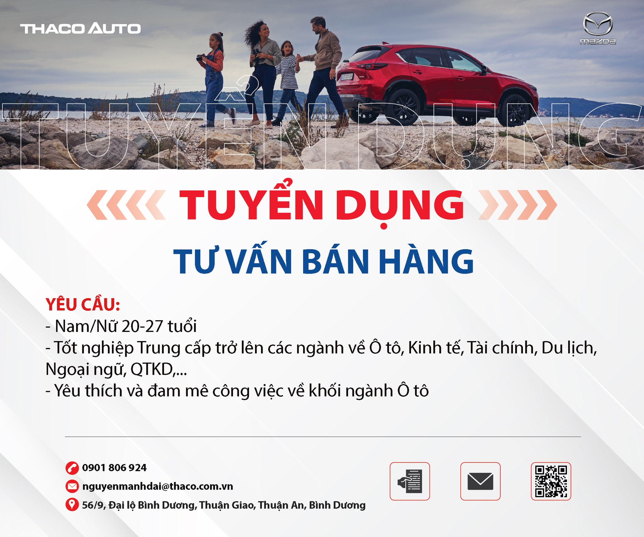 lĩnh vực hoạt động