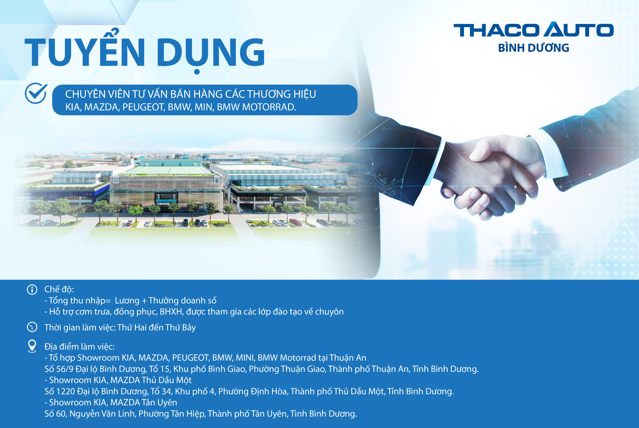 lĩnh vực hoạt động