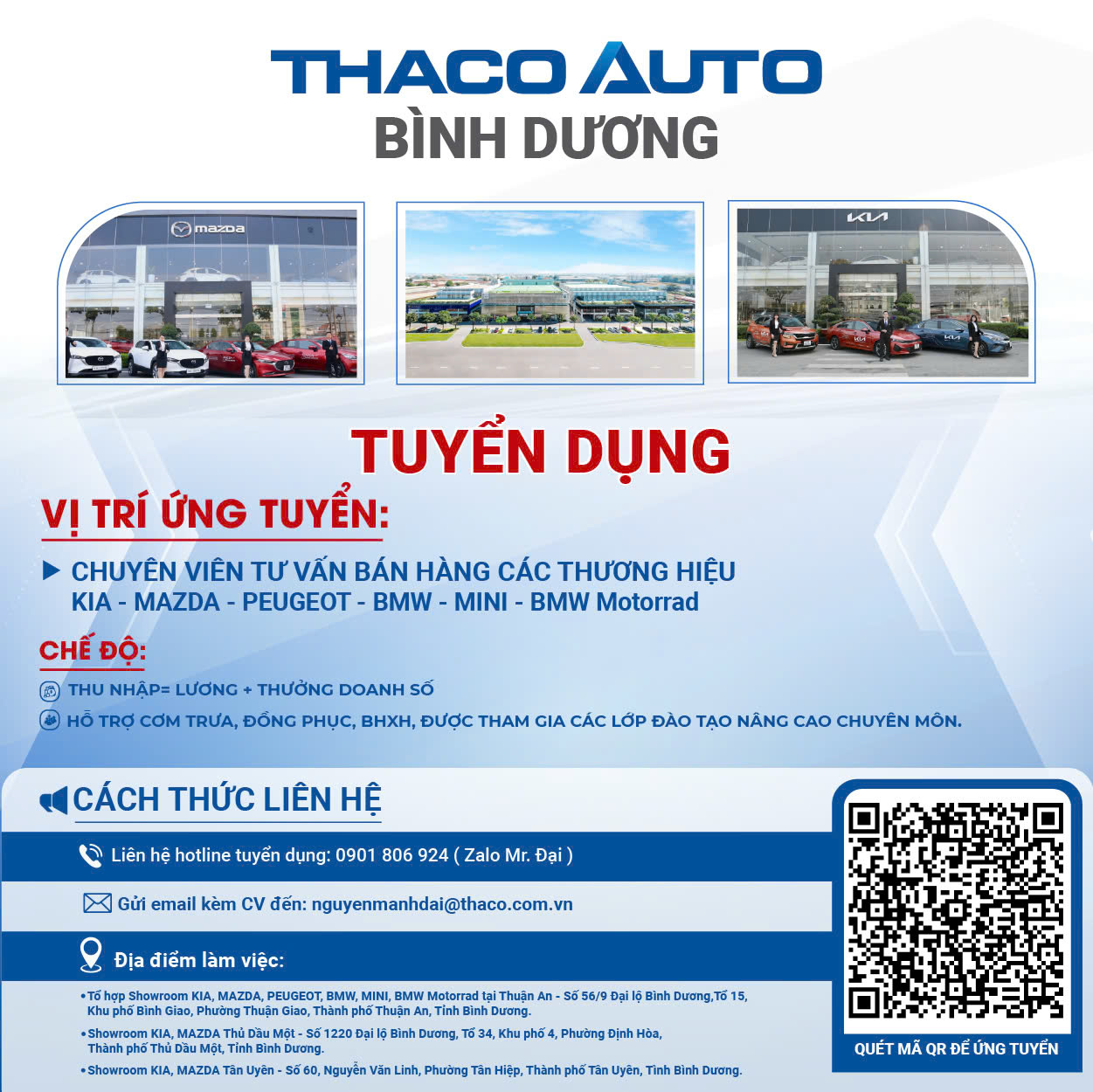 lĩnh vực hoạt động