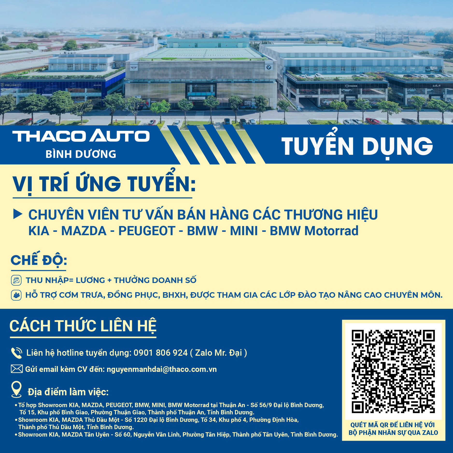 lĩnh vực hoạt động