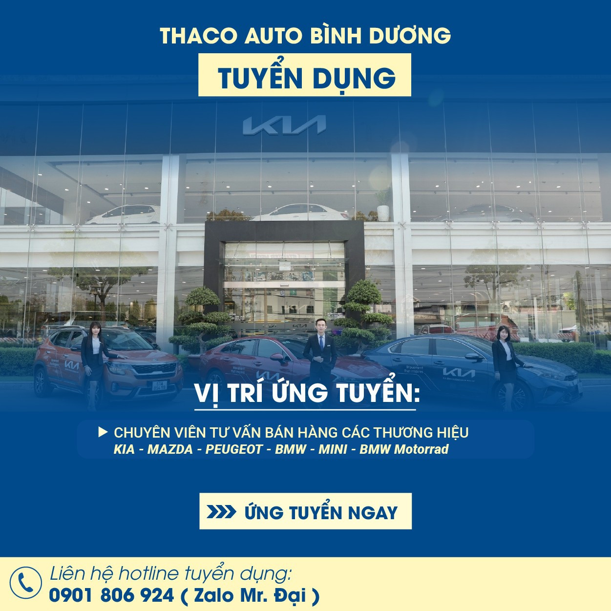 lĩnh vực hoạt động