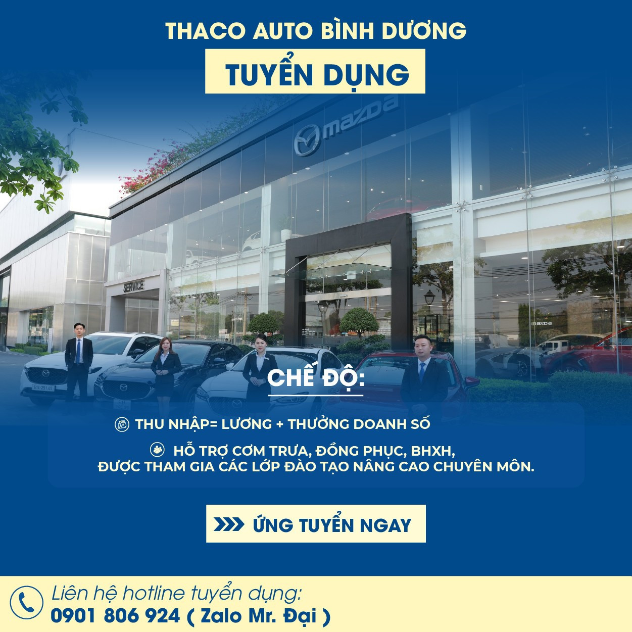 lĩnh vực hoạt động