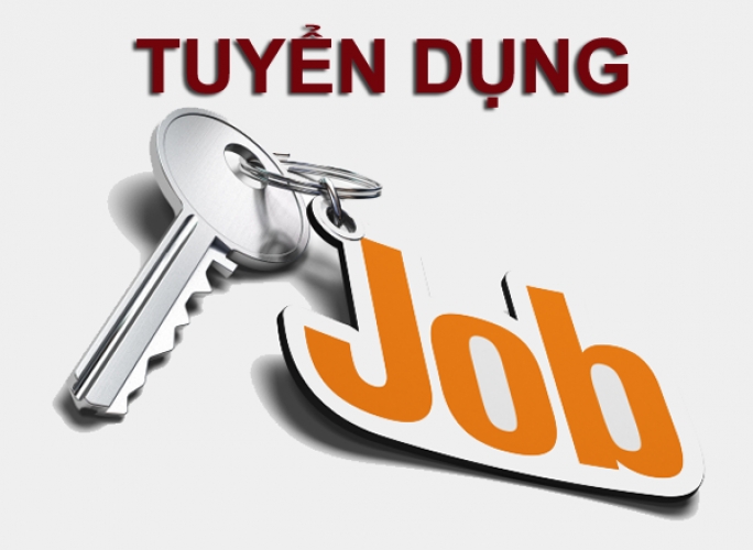 lĩnh vực hoạt động