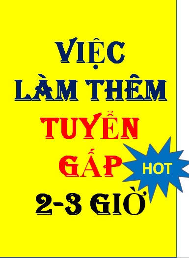 lĩnh vực hoạt động