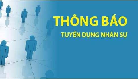 lĩnh vực hoạt động