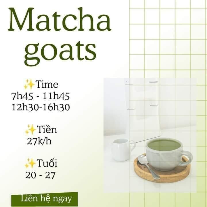 lĩnh vực hoạt động