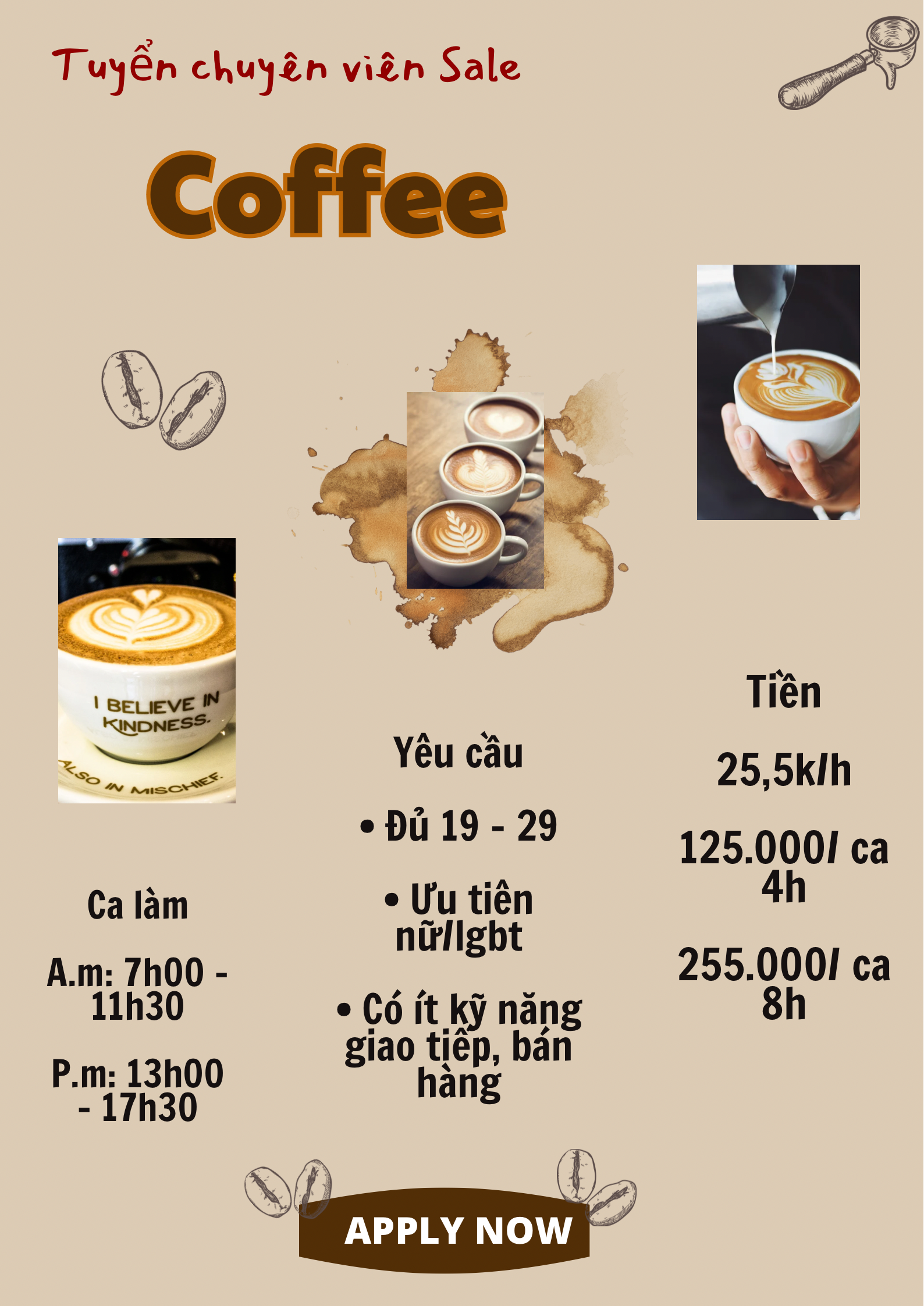 lĩnh vực hoạt động