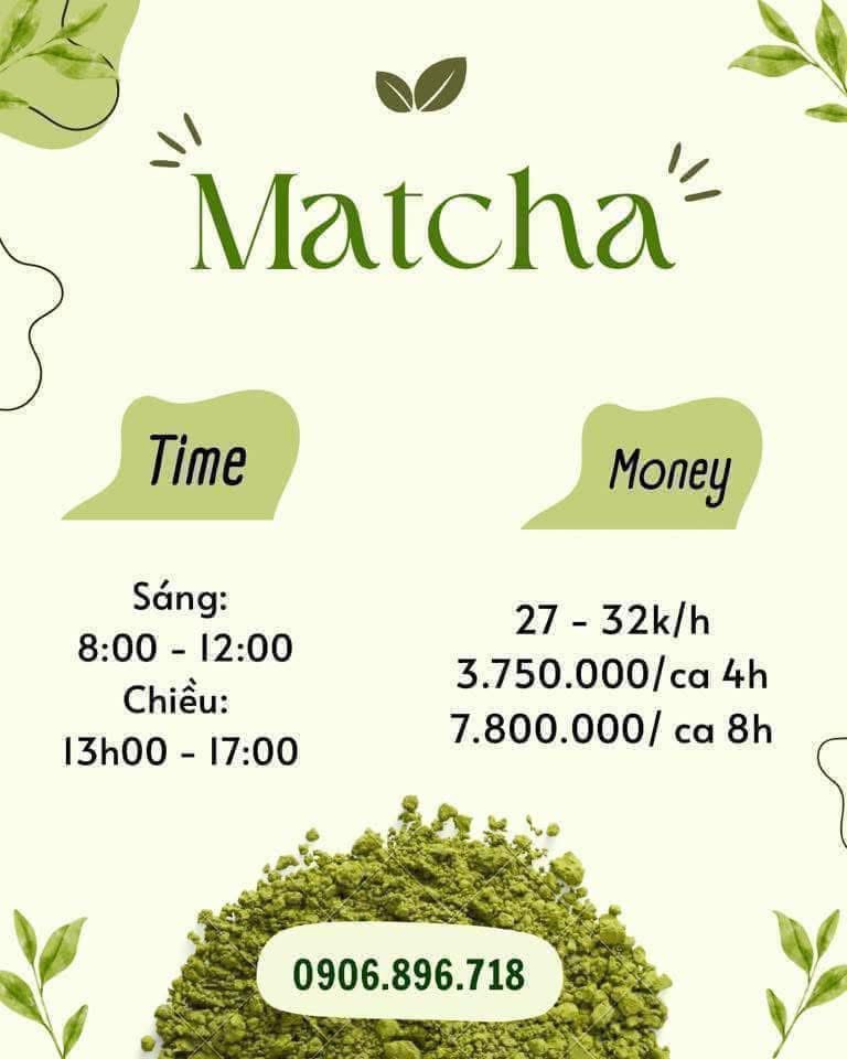 lĩnh vực hoạt động