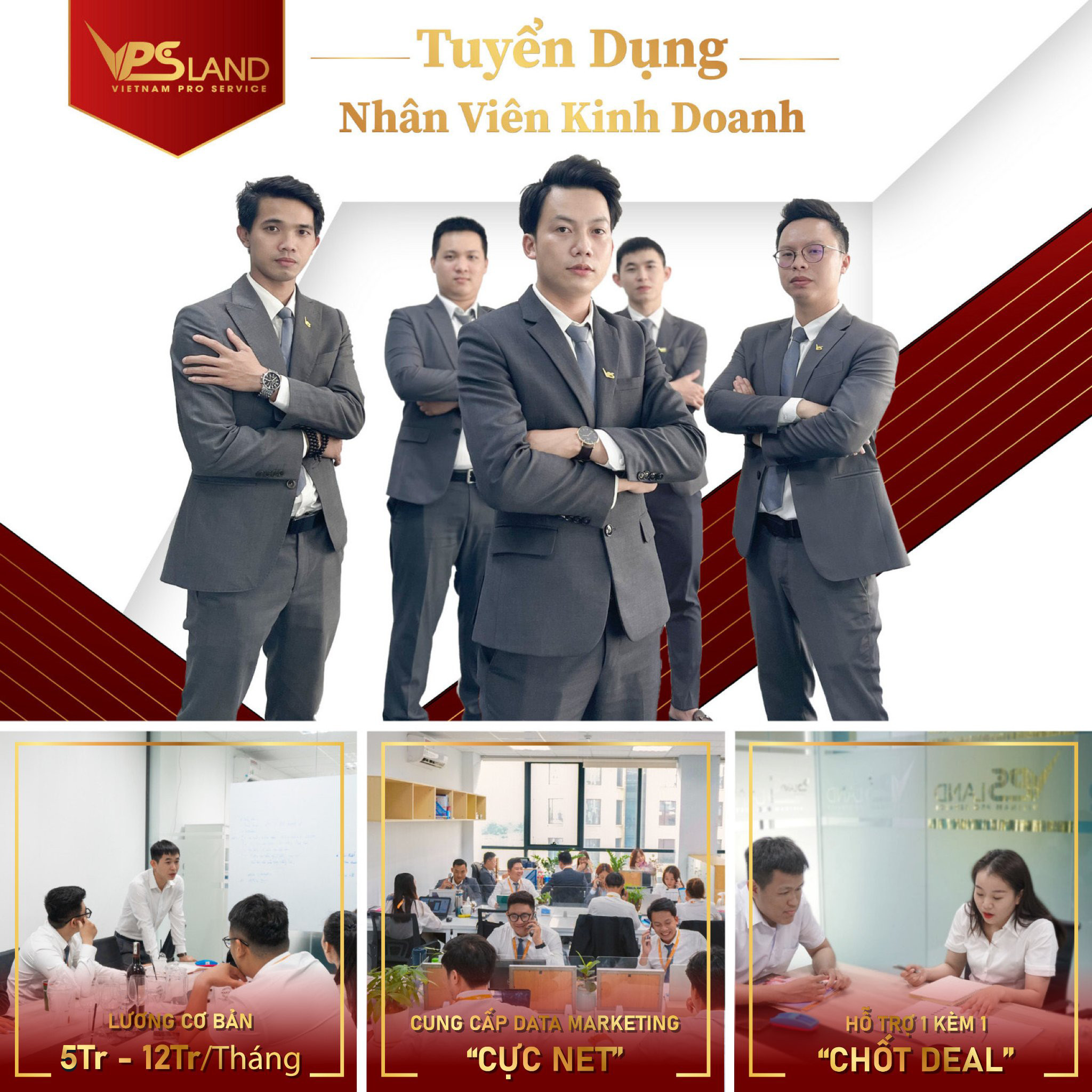 lĩnh vực hoạt động