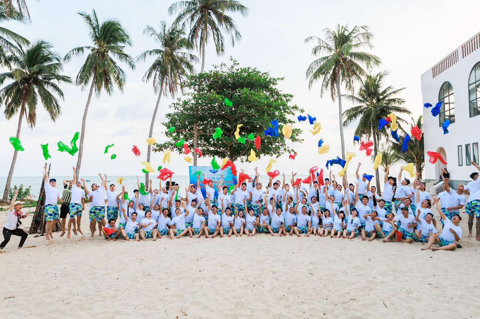 lĩnh vực hoạt động