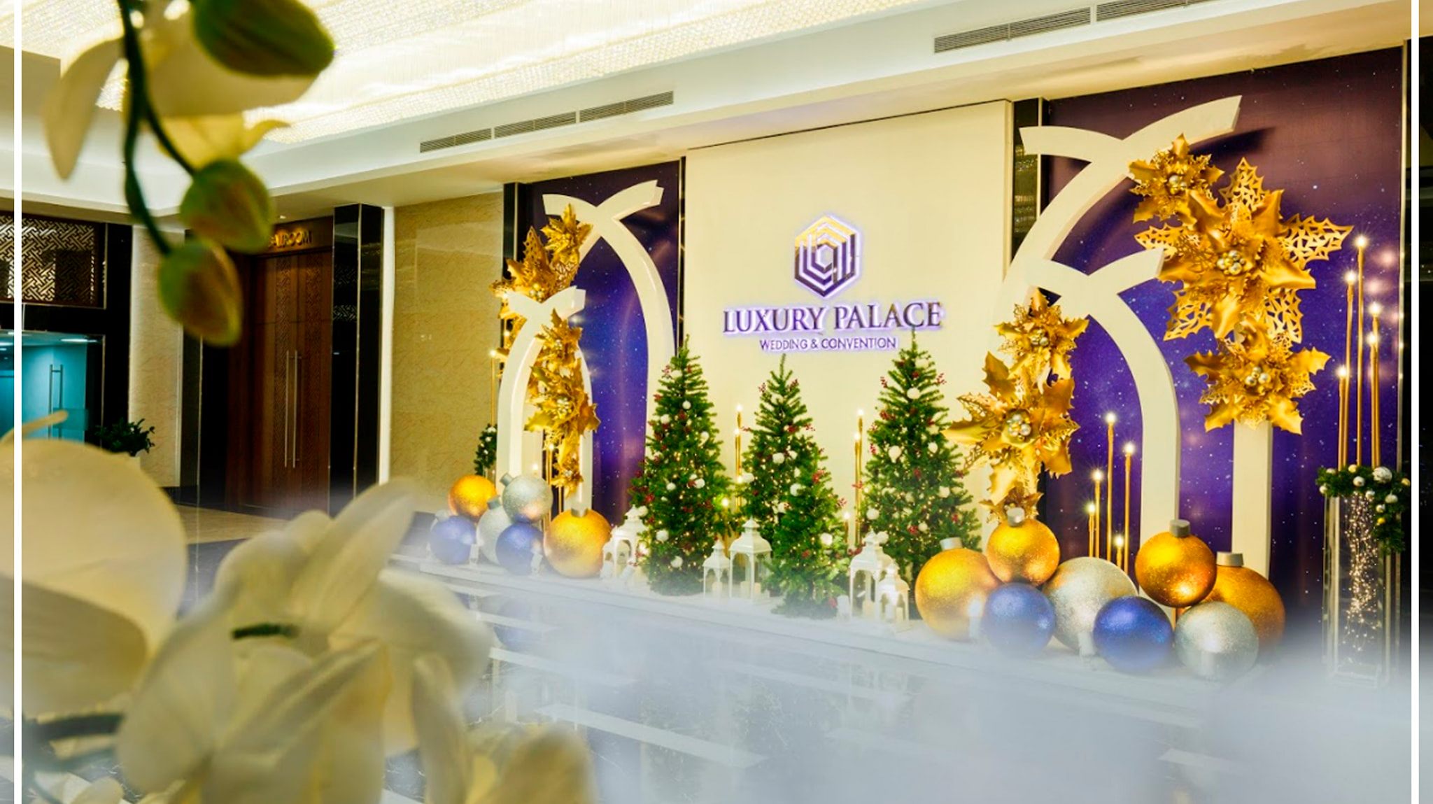 lĩnh vực hoạt động
