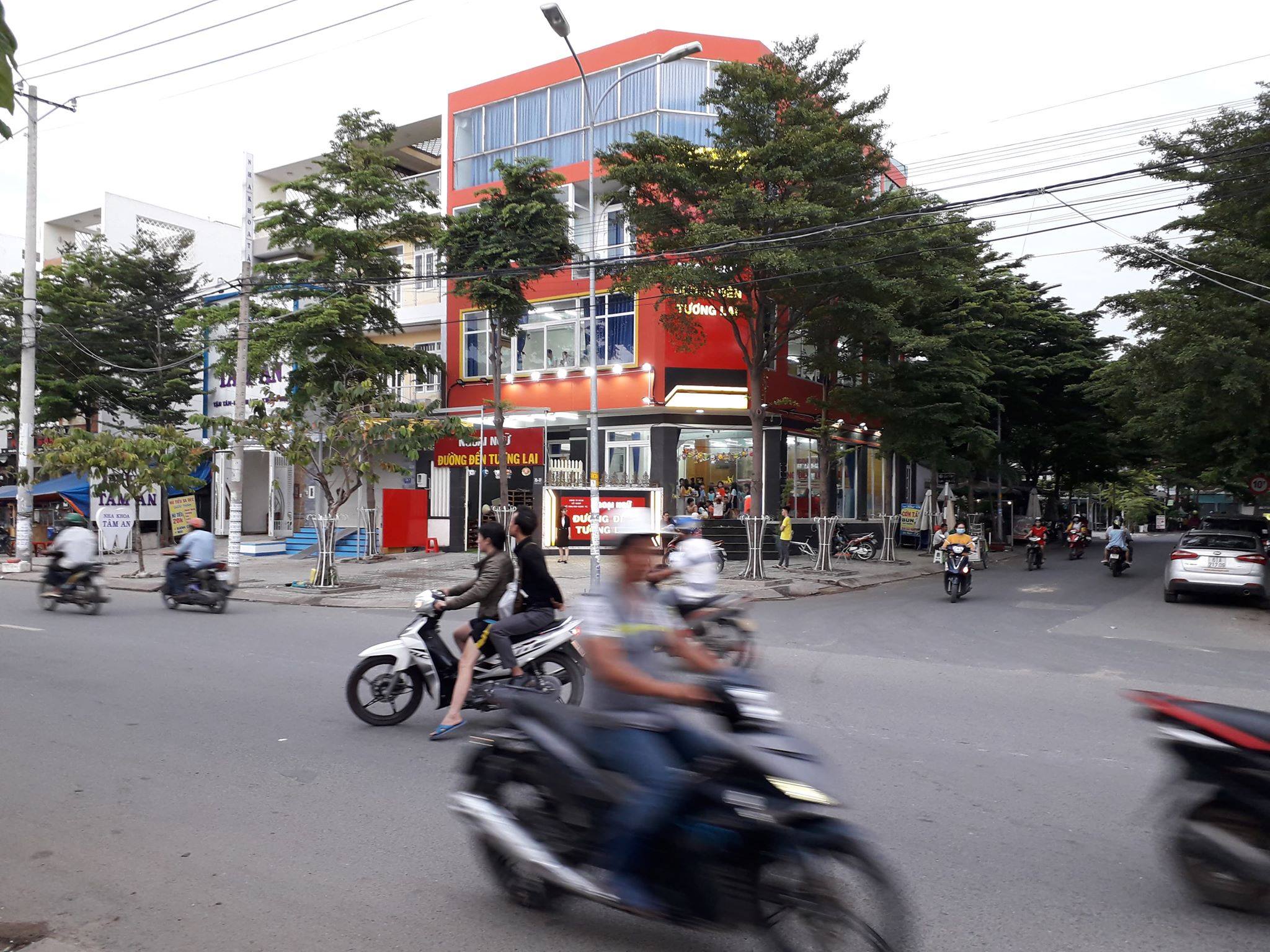 lĩnh vực hoạt động