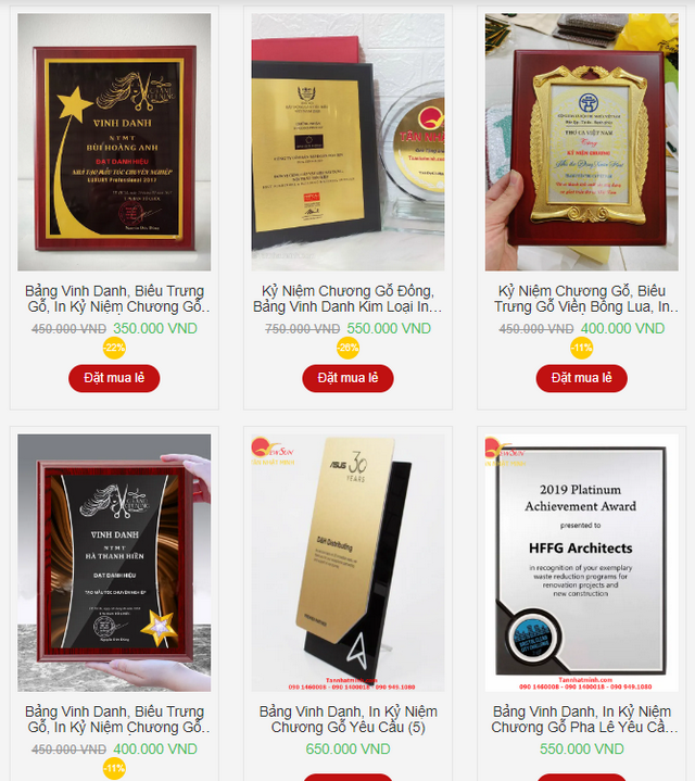 lĩnh vực hoạt động