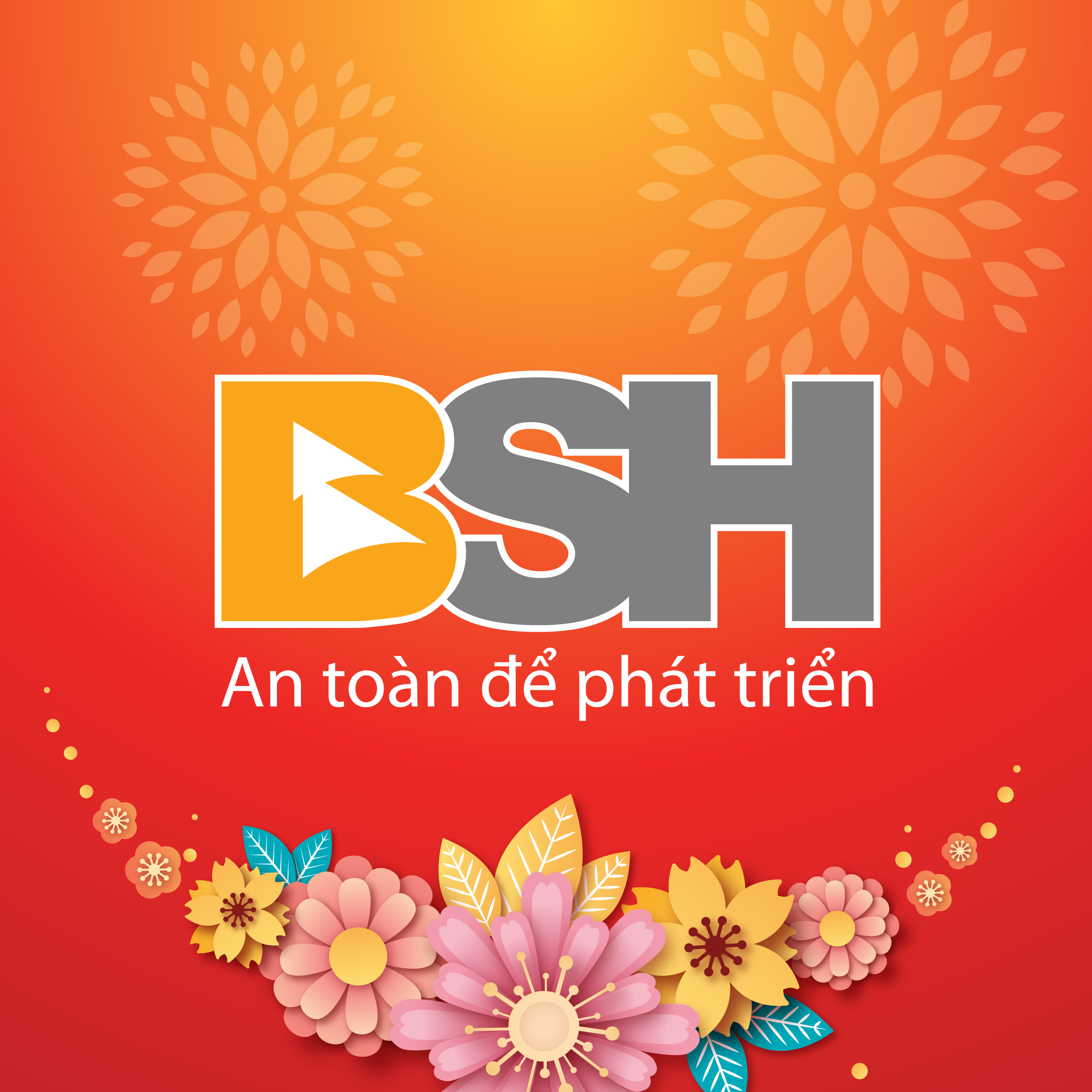 lĩnh vực hoạt động