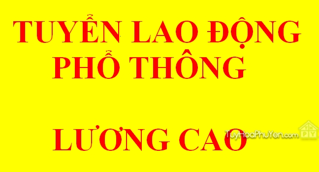 lĩnh vực hoạt động