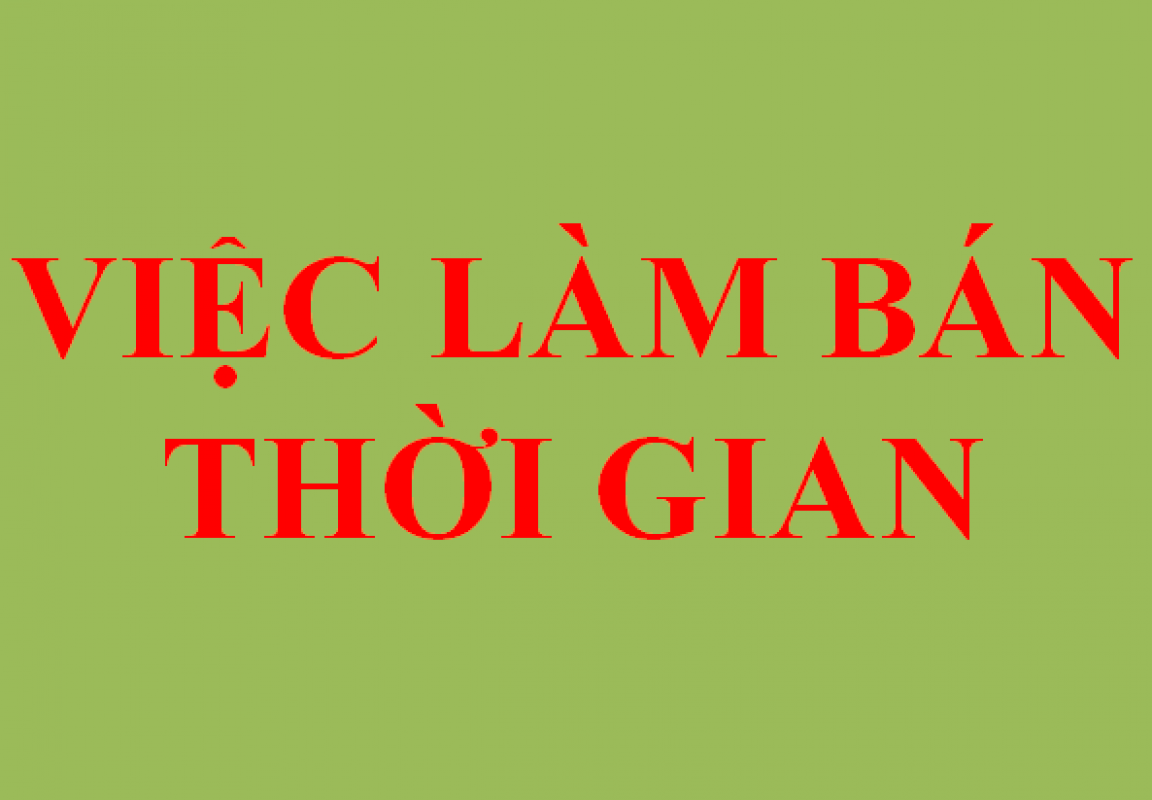 lĩnh vực hoạt động