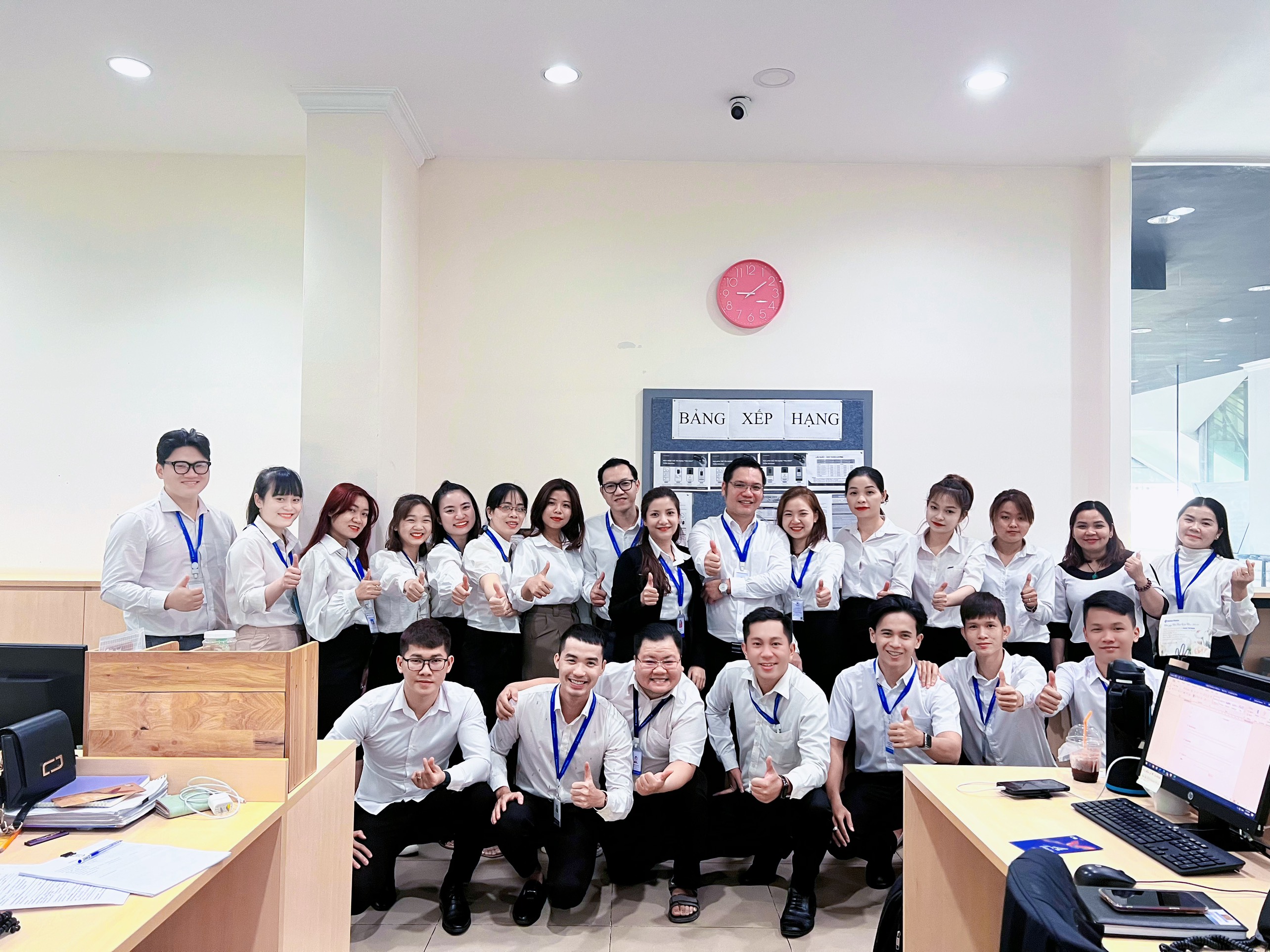 lĩnh vực hoạt động