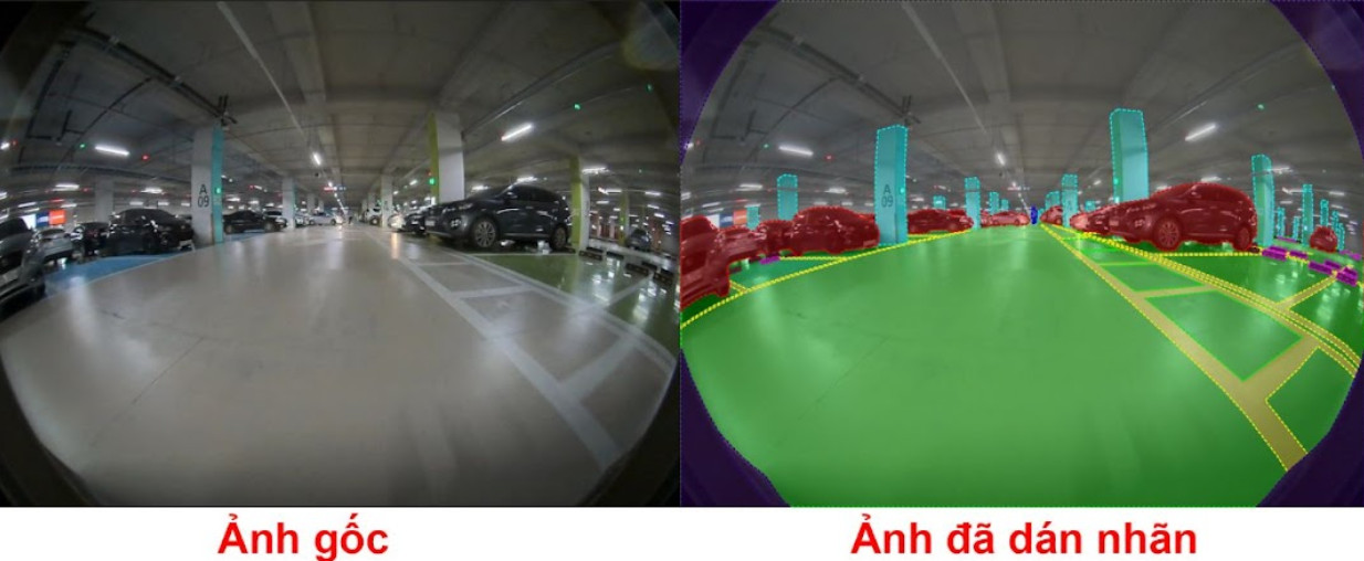lĩnh vực hoạt động