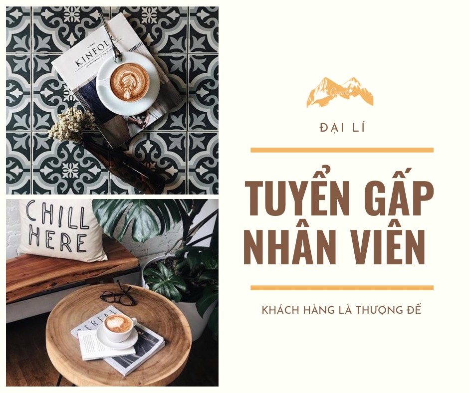 lĩnh vực hoạt động