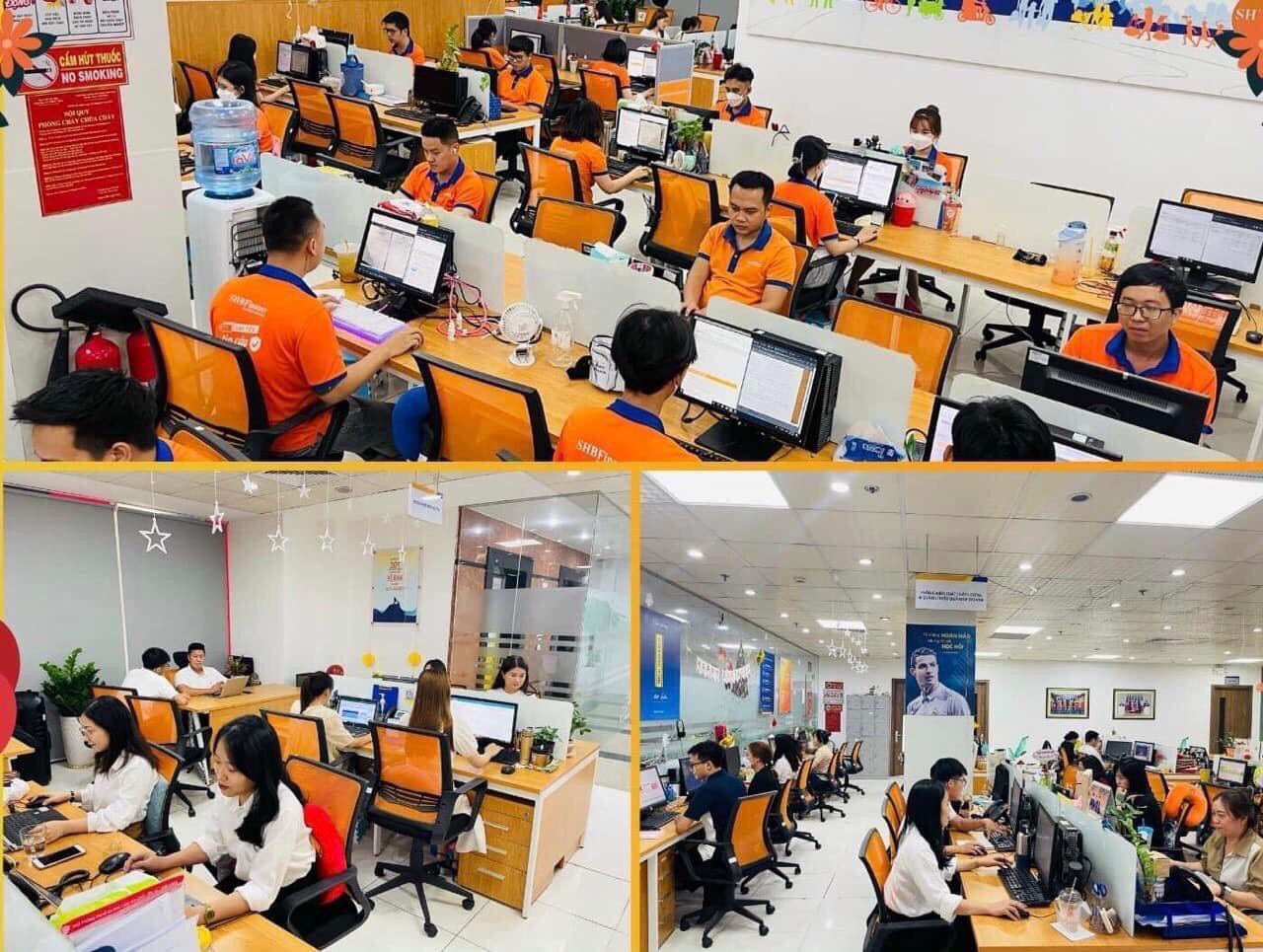 lĩnh vực hoạt động