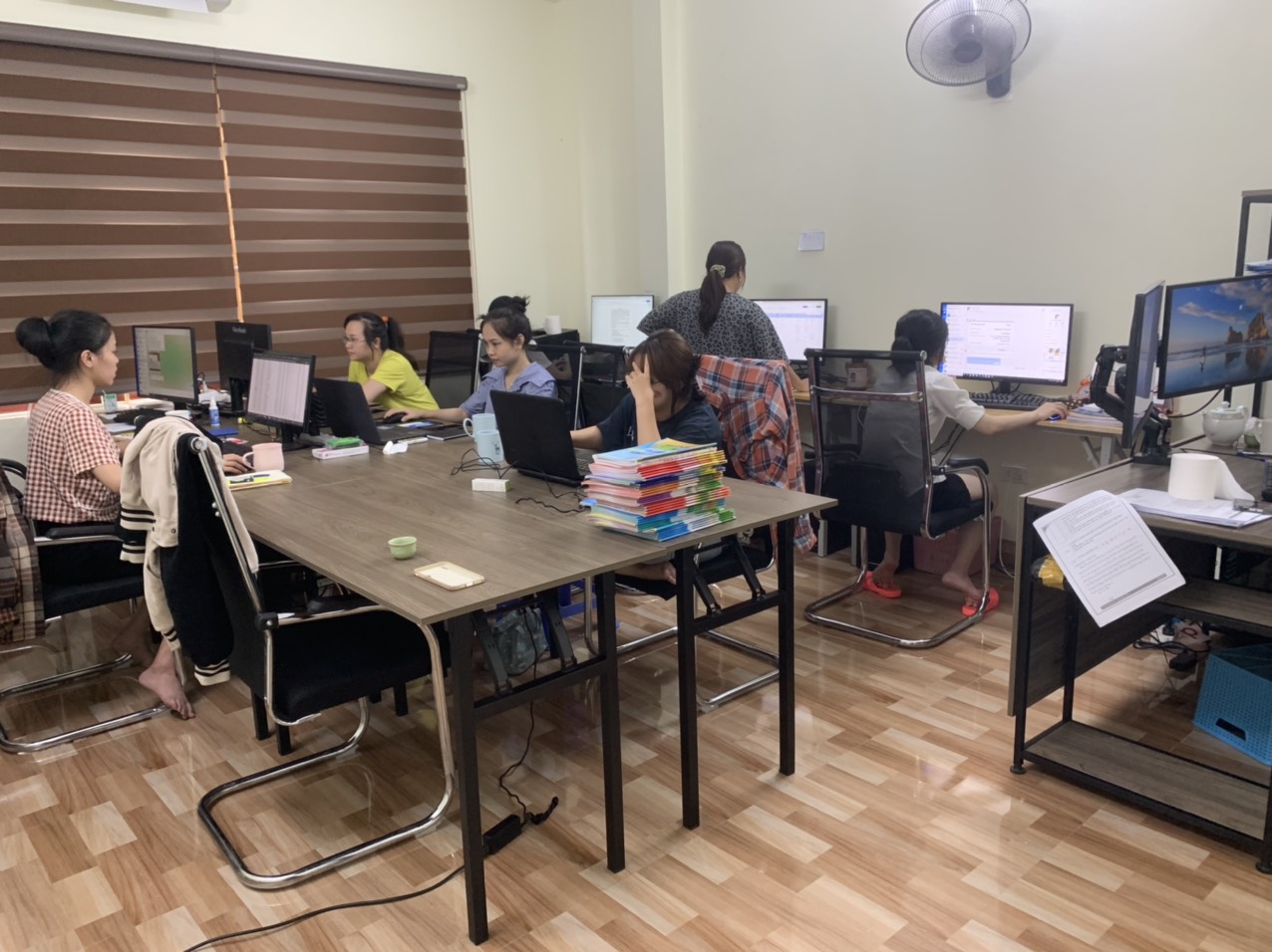 lĩnh vực hoạt động