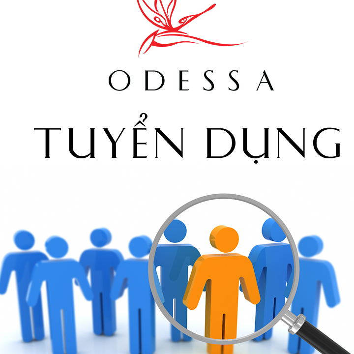 lĩnh vực hoạt động