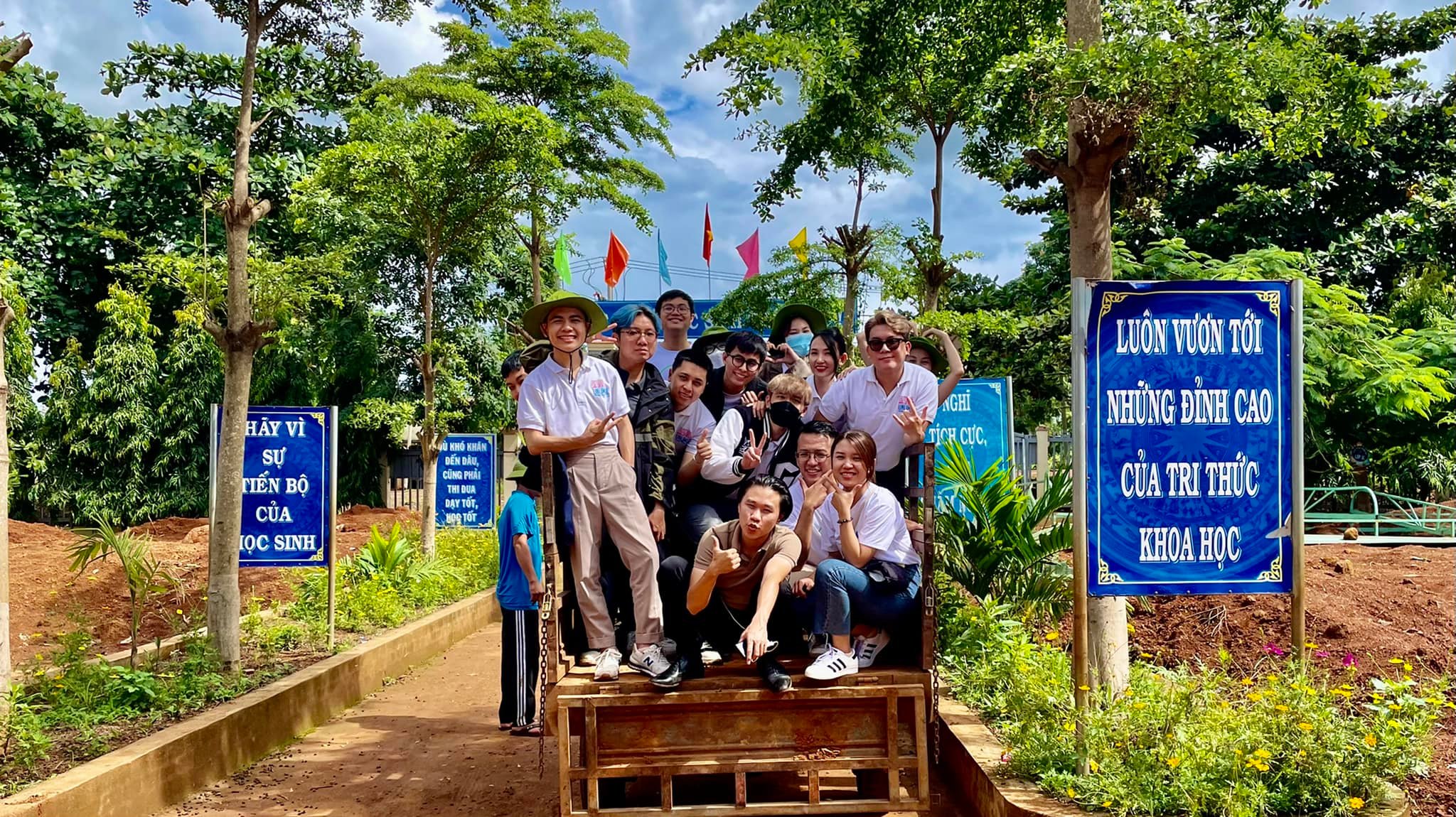 lĩnh vực hoạt động