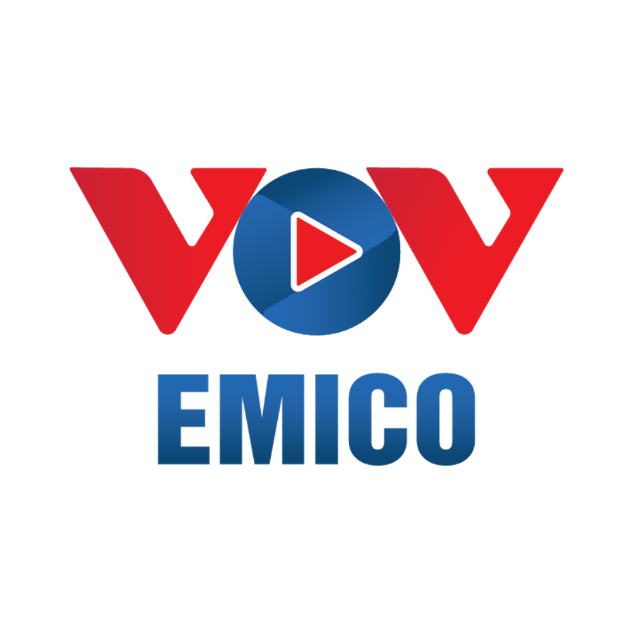 lĩnh vực hoạt động