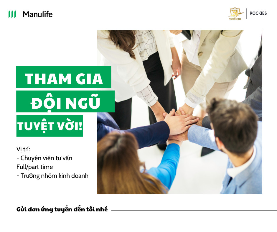 lĩnh vực hoạt động