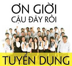 lĩnh vực hoạt động