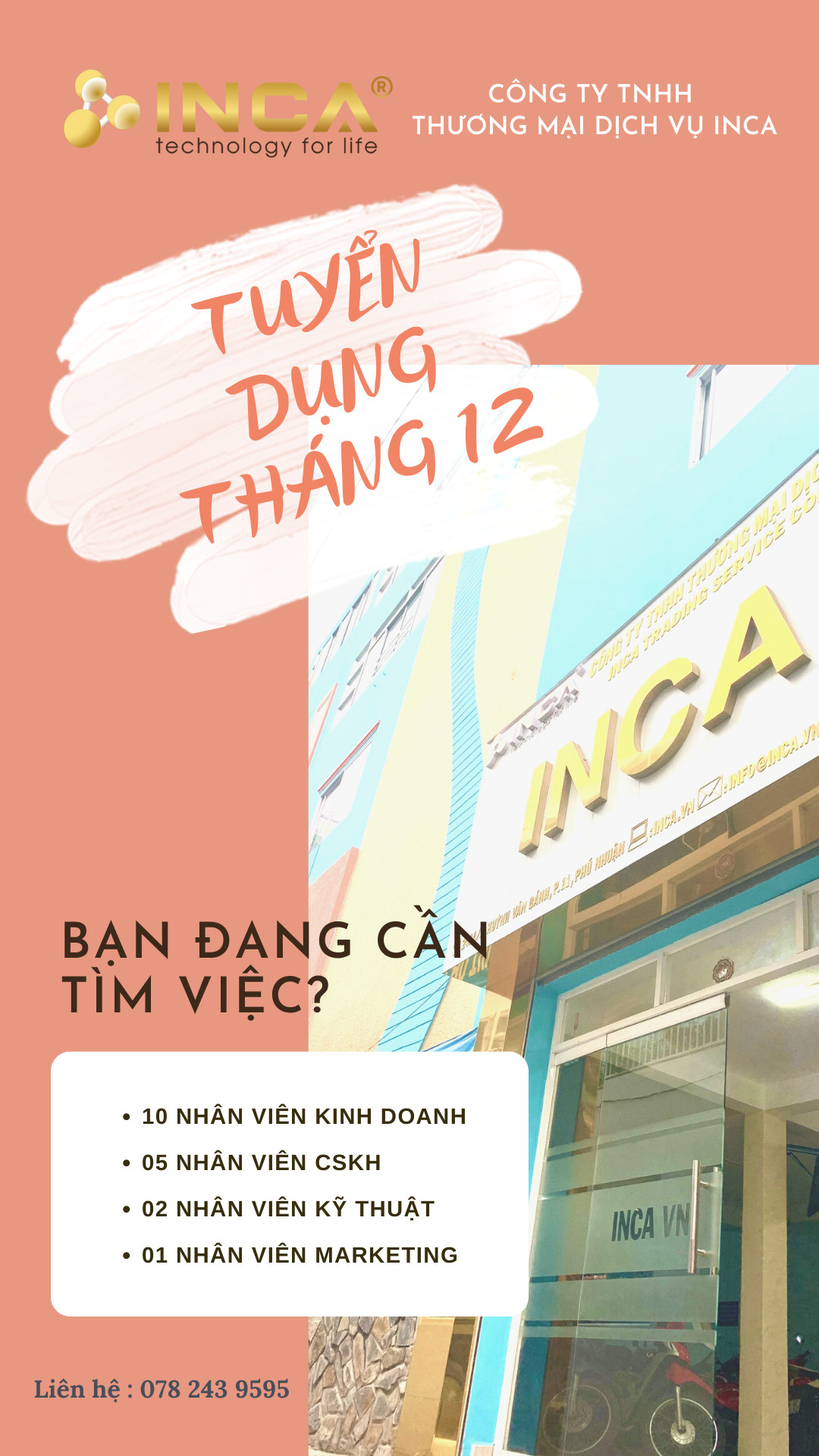 lĩnh vực hoạt động