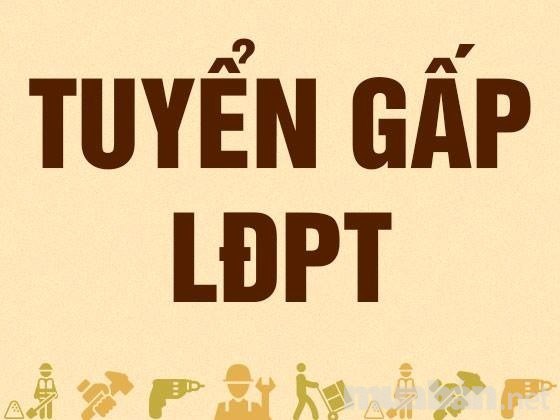 lĩnh vực hoạt động