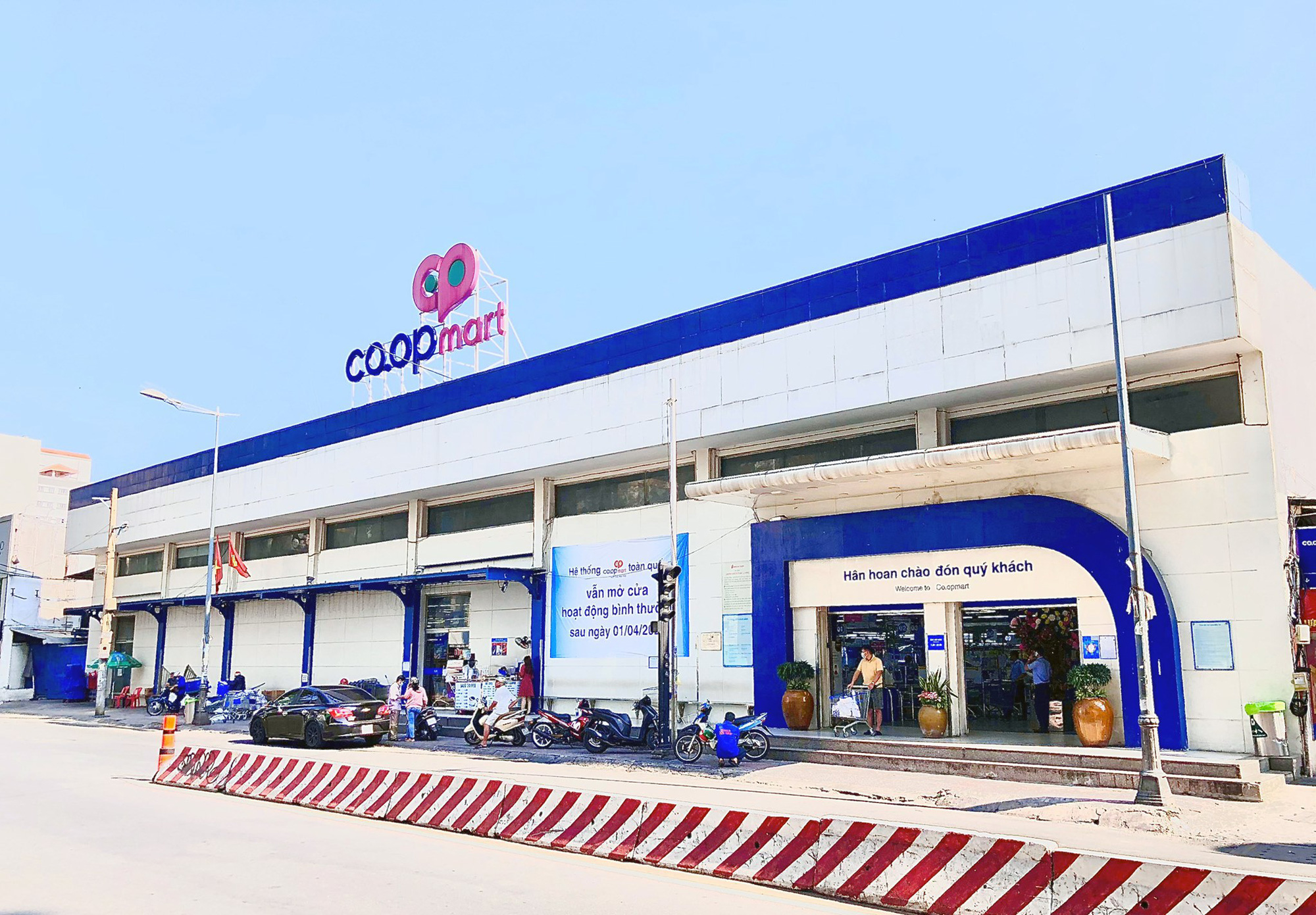 lĩnh vực hoạt động