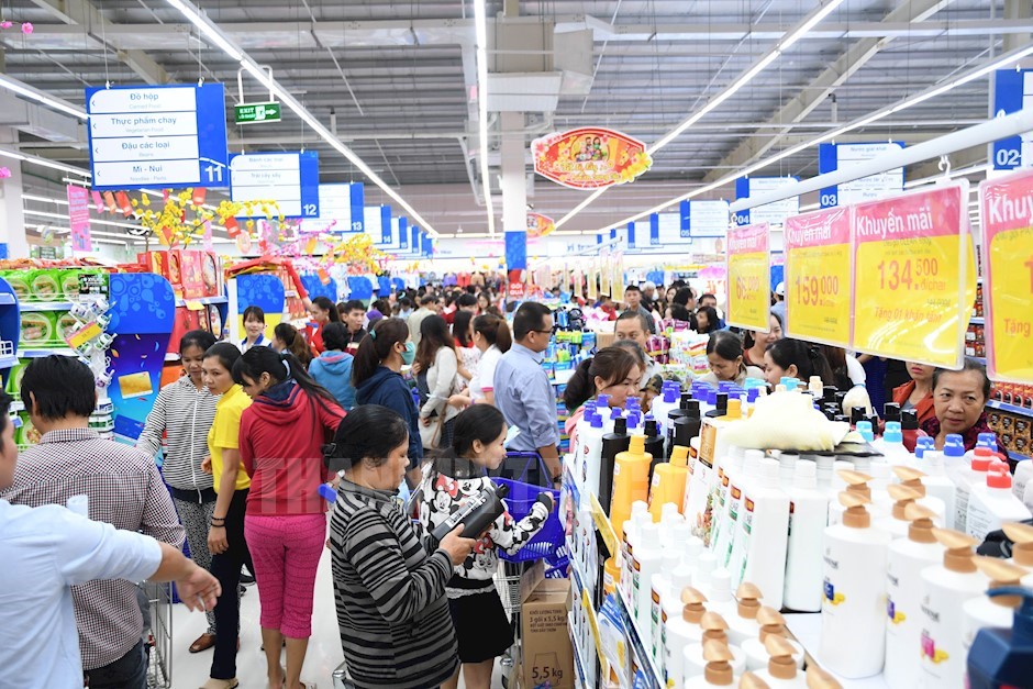 lĩnh vực hoạt động