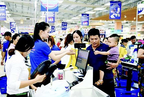 lĩnh vực hoạt động