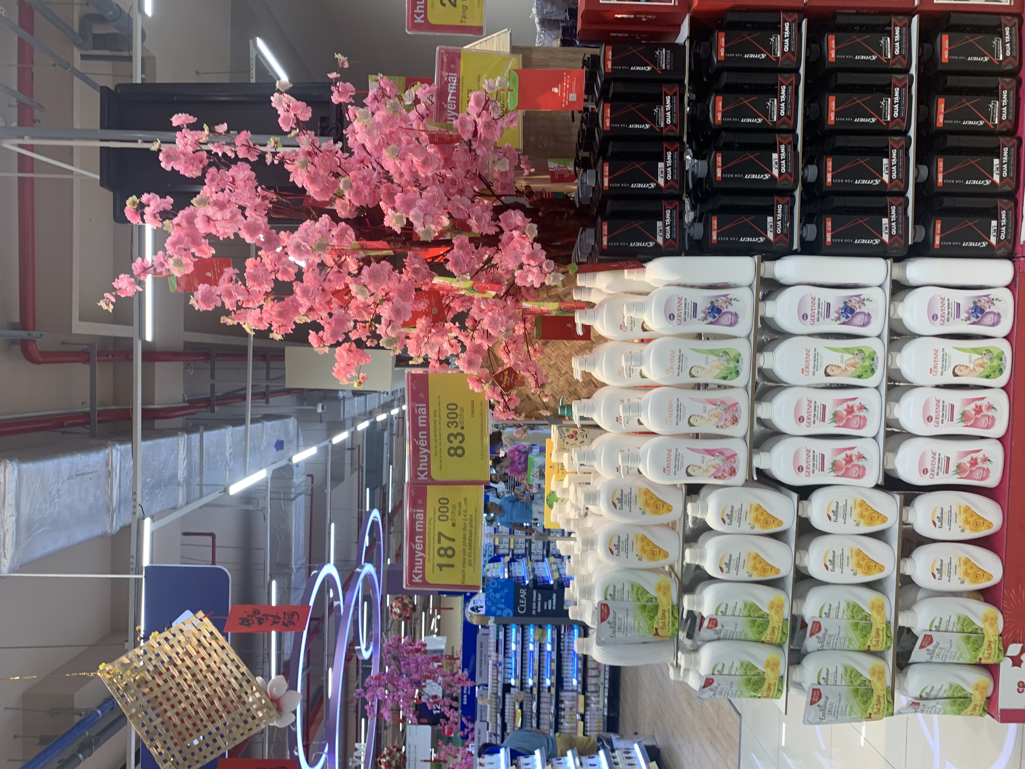 lĩnh vực hoạt động