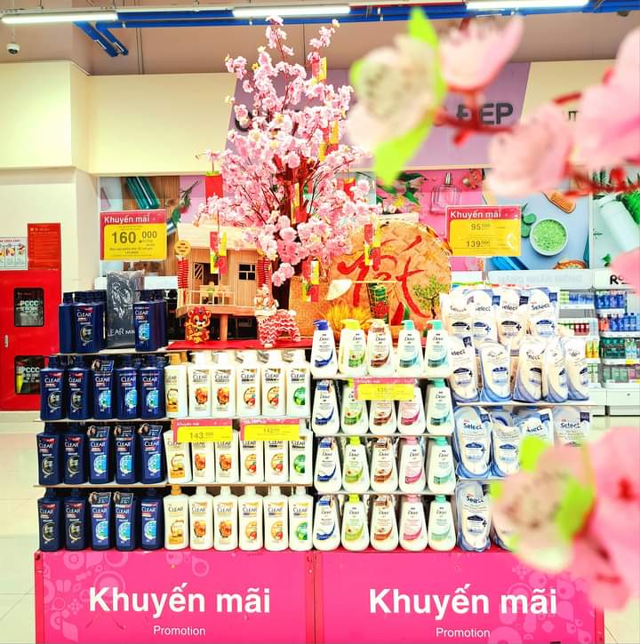 lĩnh vực hoạt động