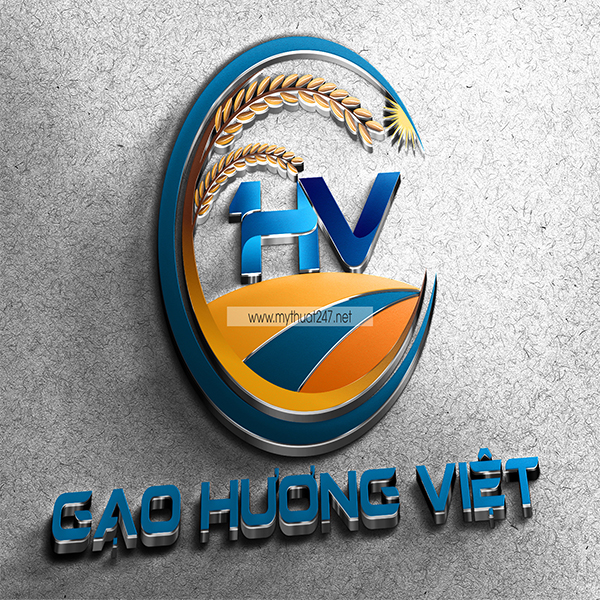 lĩnh vực hoạt động