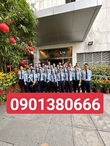 lĩnh vực hoạt động