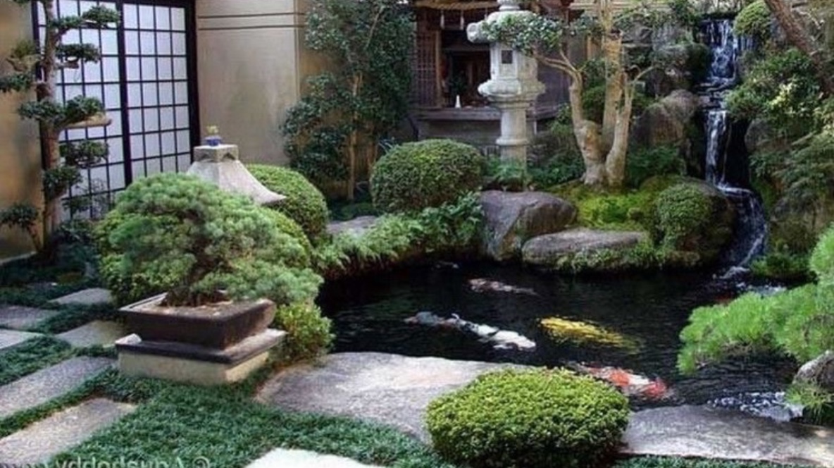 lĩnh vực hoạt động