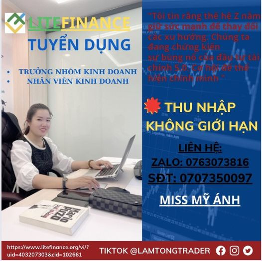 lĩnh vực hoạt động