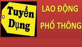 lĩnh vực hoạt động