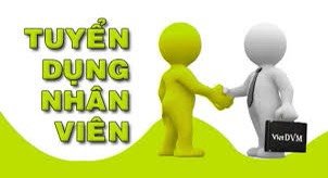lĩnh vực hoạt động