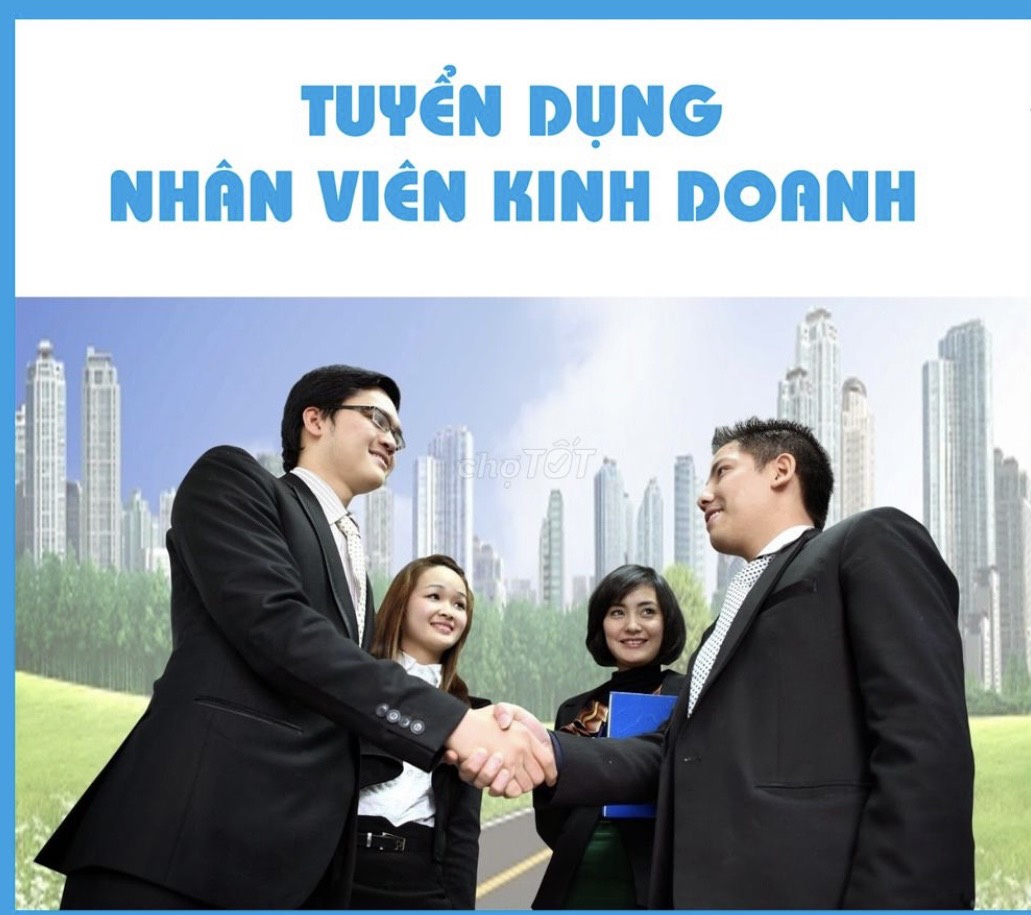 lĩnh vực hoạt động