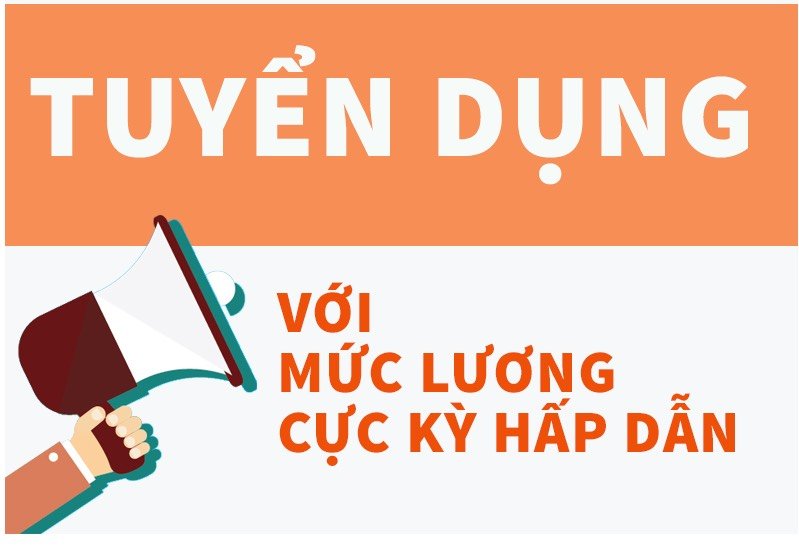 lĩnh vực hoạt động