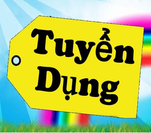 lĩnh vực hoạt động