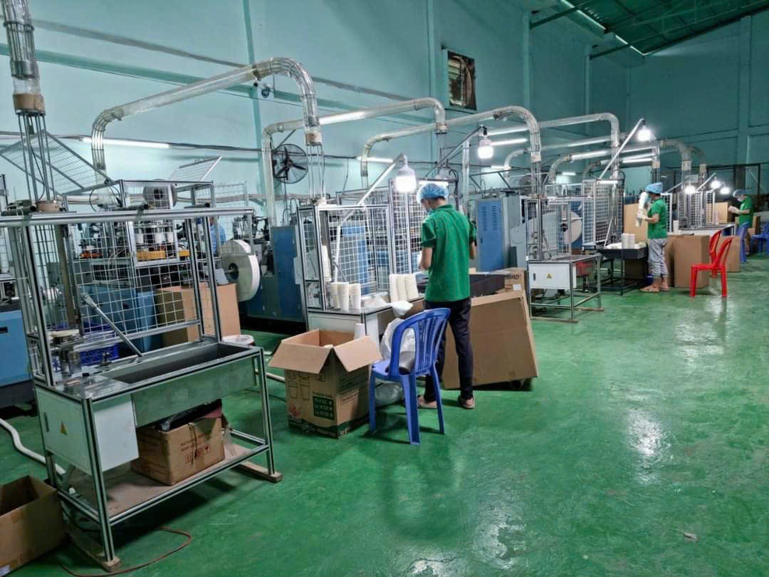 lĩnh vực hoạt động